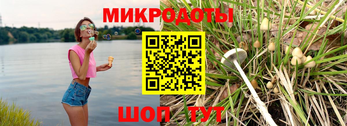 Галлюциногенные грибы мицелий Приморско-Ахтарск